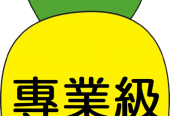 菠蘿旺台灣工商服務網 PRO1.TW