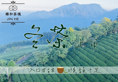 一年一度的大禹嶺冬茶熱銷中-錦和茶棧